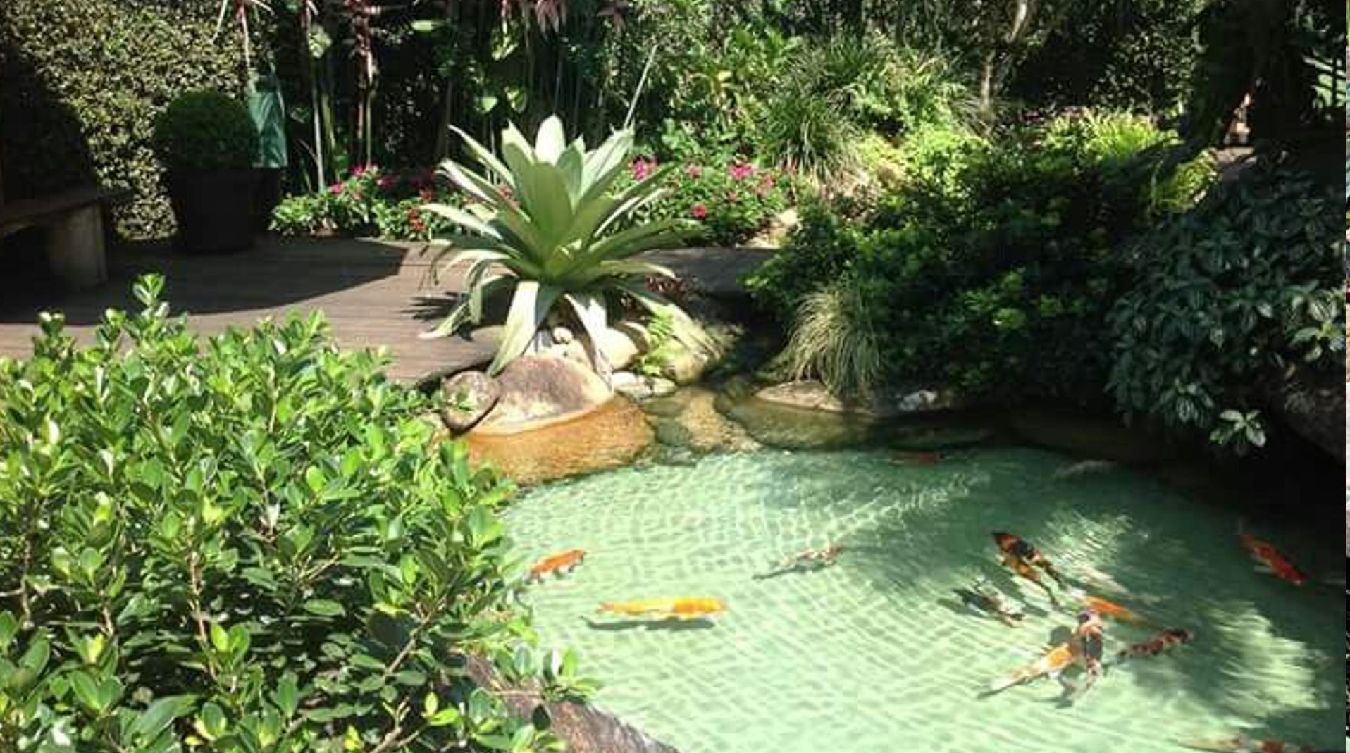 Construcción <strong>de</strong> Estanques <br /> para peces  <br /> <strong>y</strong> Tortugas