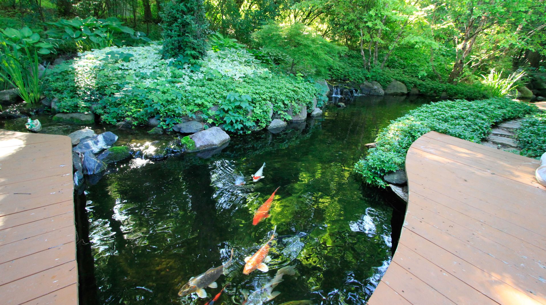 Belleza <strong>única</strong> para <br /> tu casa <br /> <strong>en</strong> el Jardín.