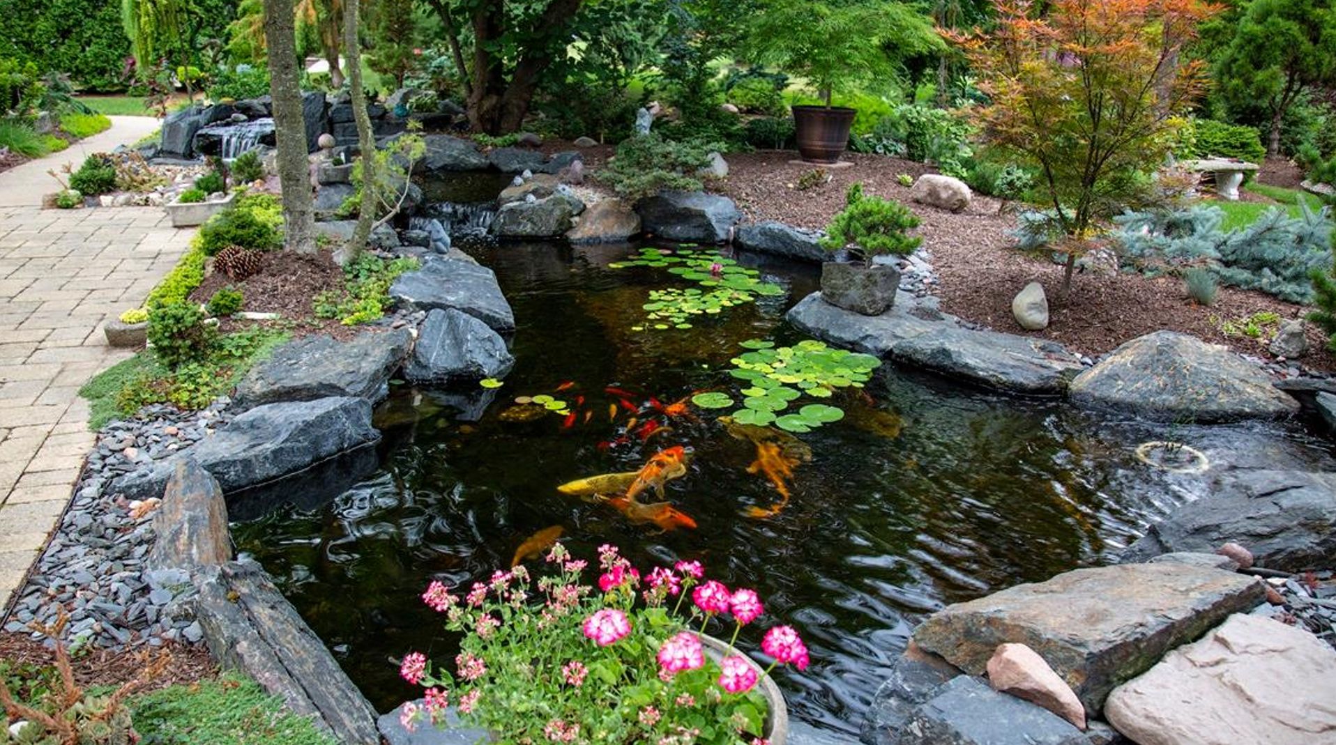 Un <strong>Estanque</strong> es <br /> más fácil  <br /> <strong>mantener</strong> que un acuario.