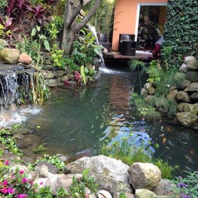 Estanques decorativos